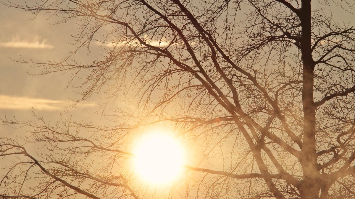 Teaching Kindness and Empathy Through Everyday Actions
